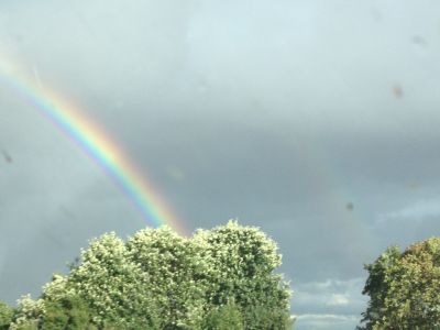 Regenbogen
